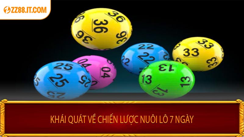 Khái Quát Về Chiến Lược Nuôi Lô 7 Ngày