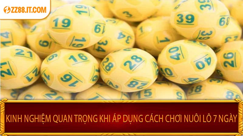 Kinh Nghiệm Quan Trọng Khi Áp Dụng Cách Chơi Nuôi Lô 7 Ngày